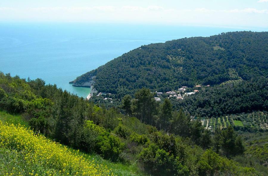 Villa Zagare Маттината Экстерьер фото